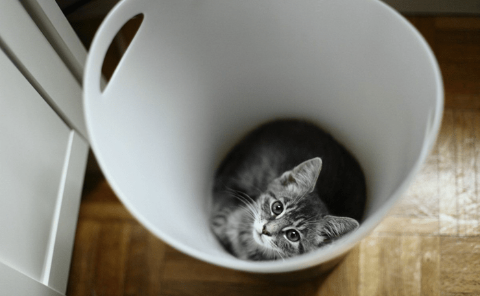 Органический мусор переработка мук квартире